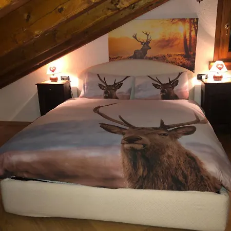 Mansarda Luminosa 아파트 *